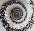 Fibonacci,