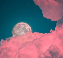 Horoskop na grudzień 2025