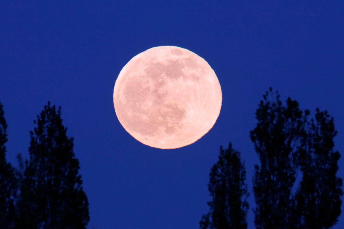 horoskop wiosna 2026
