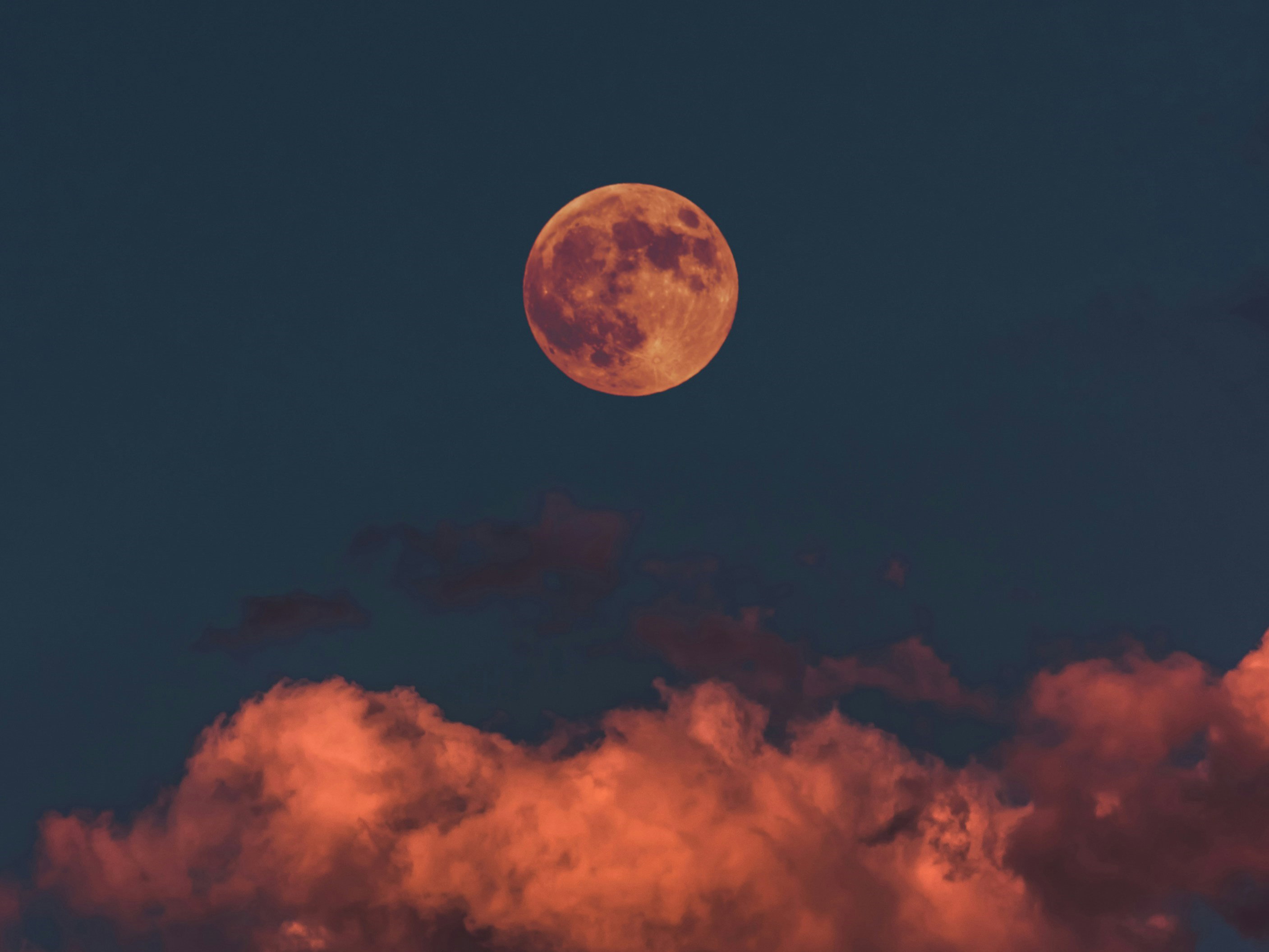 horoskop 1 grudnia 2025