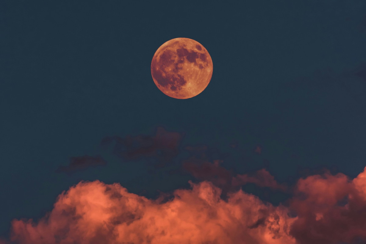 horoskop 1 grudnia 2025