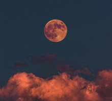 horoskop 1 grudnia 2025