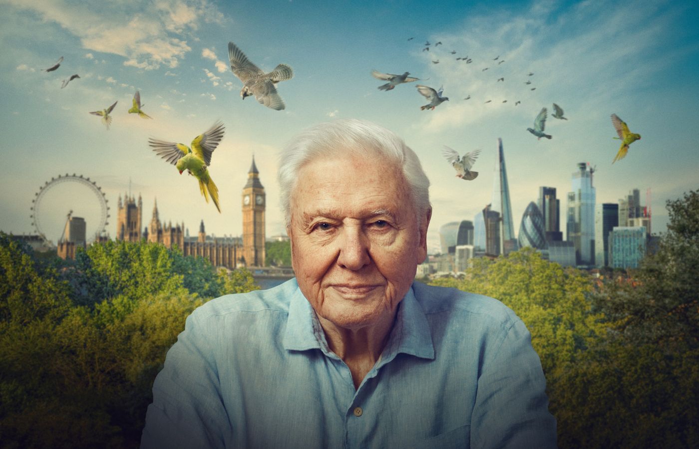 David Attenborough BBC