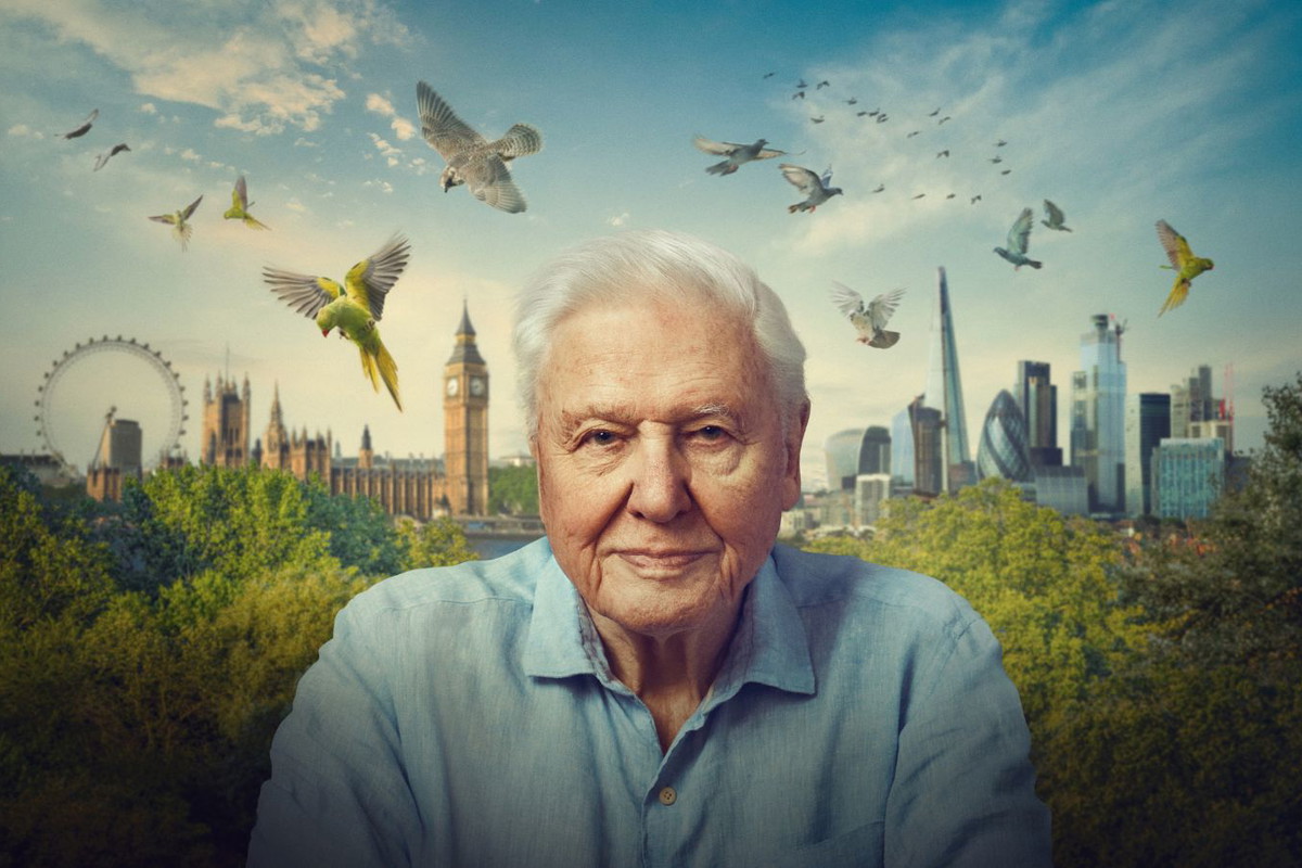 David Attenborough BBC