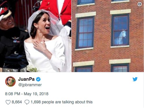 Ślub Meghan Markle i księcia Harry'ego: najlepsze memy
