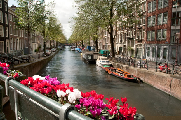 amsterdam-uwalnia1-0533f89