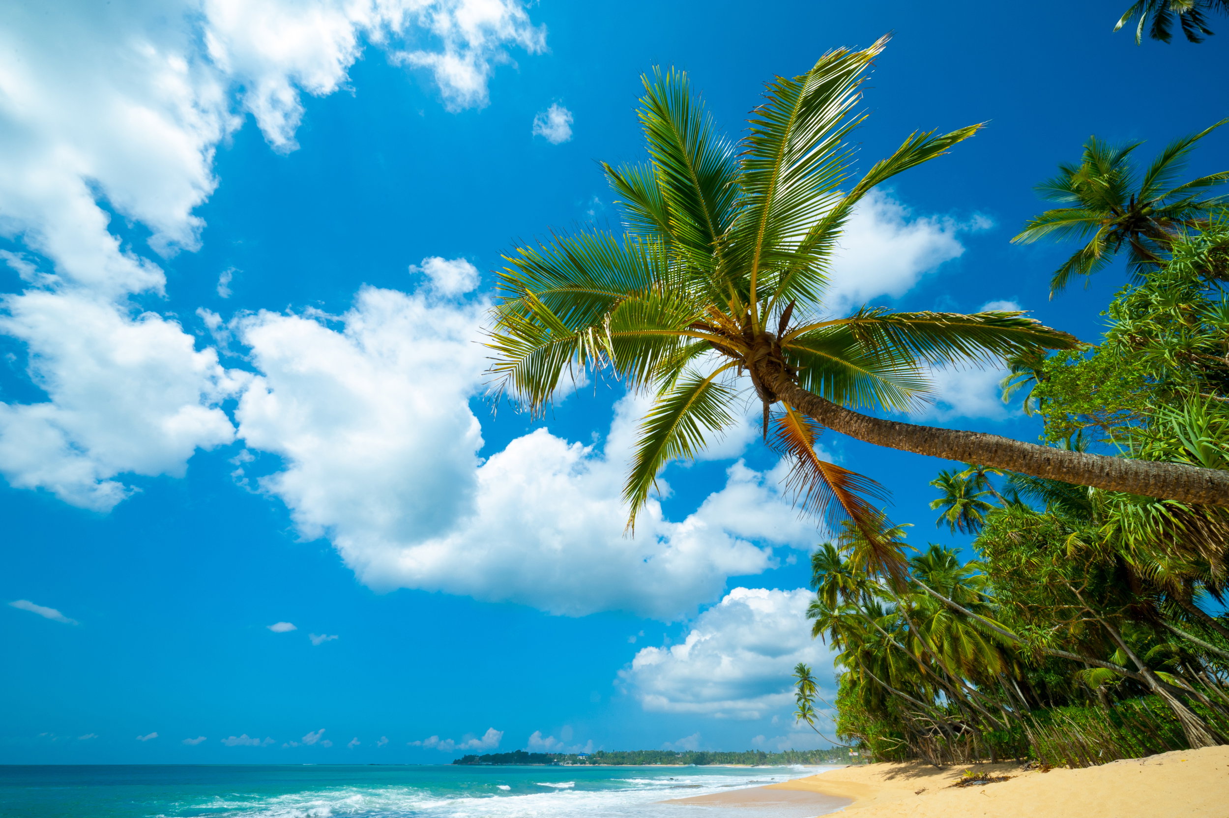 fot. fotolia