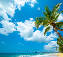 fot. fotolia