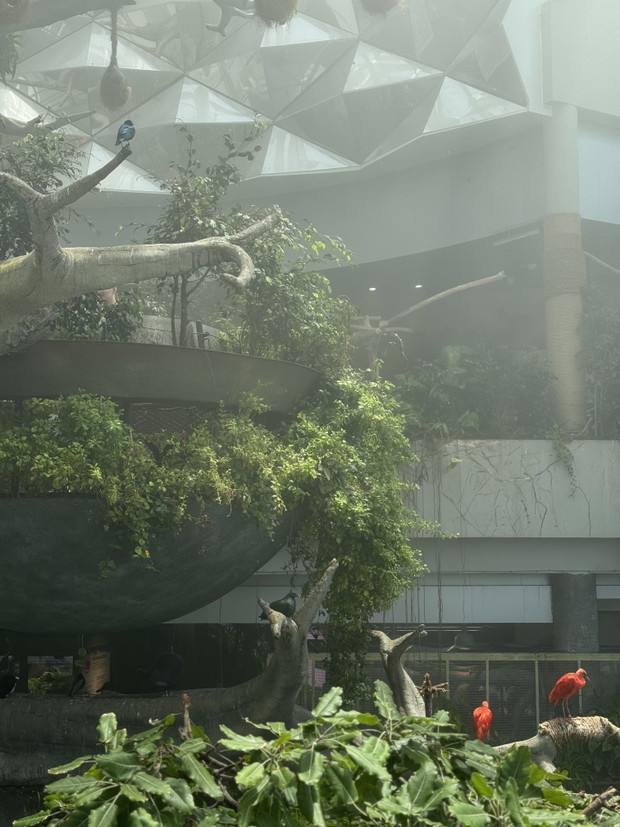 Green Planet