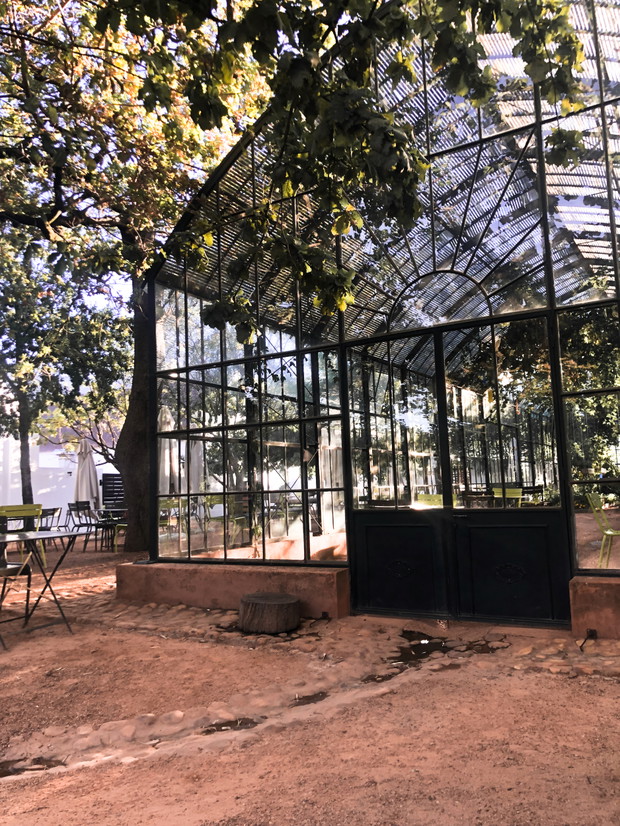 Szklarnia Babylonstoren.