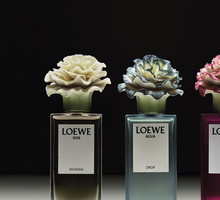 Perfumy LOEWE i LLADRÓ
