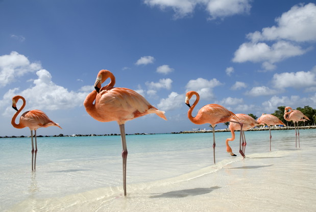 Aruba