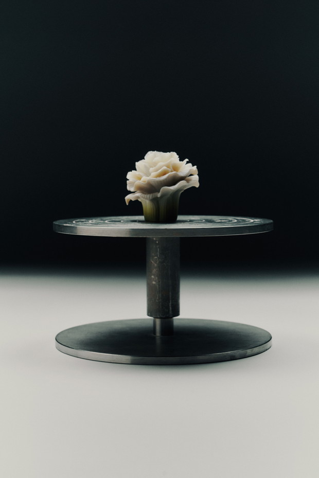 Perfumy Loewe x Lladró