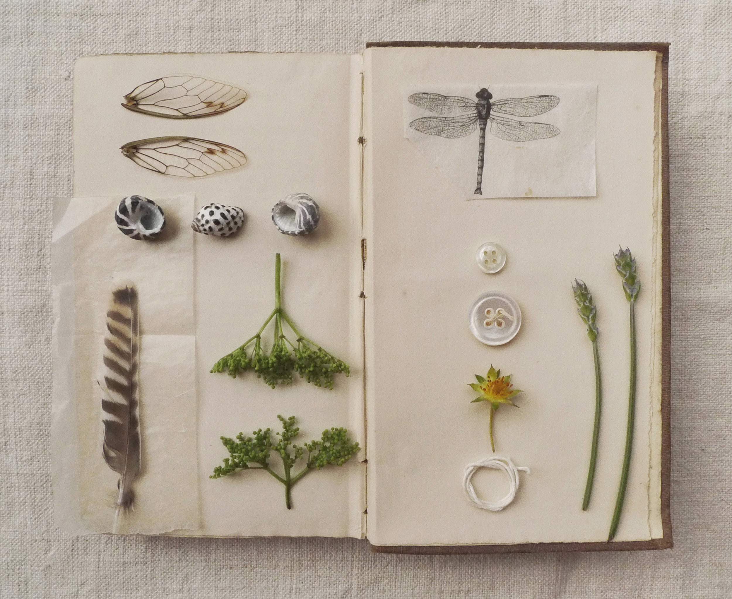 Scrapbooking