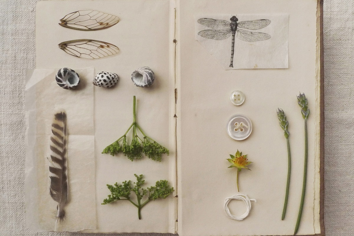 Scrapbooking