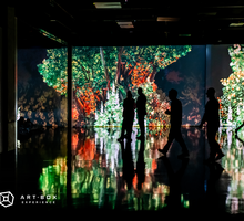 Wystawa „Immersive Monet & The Impressionists”