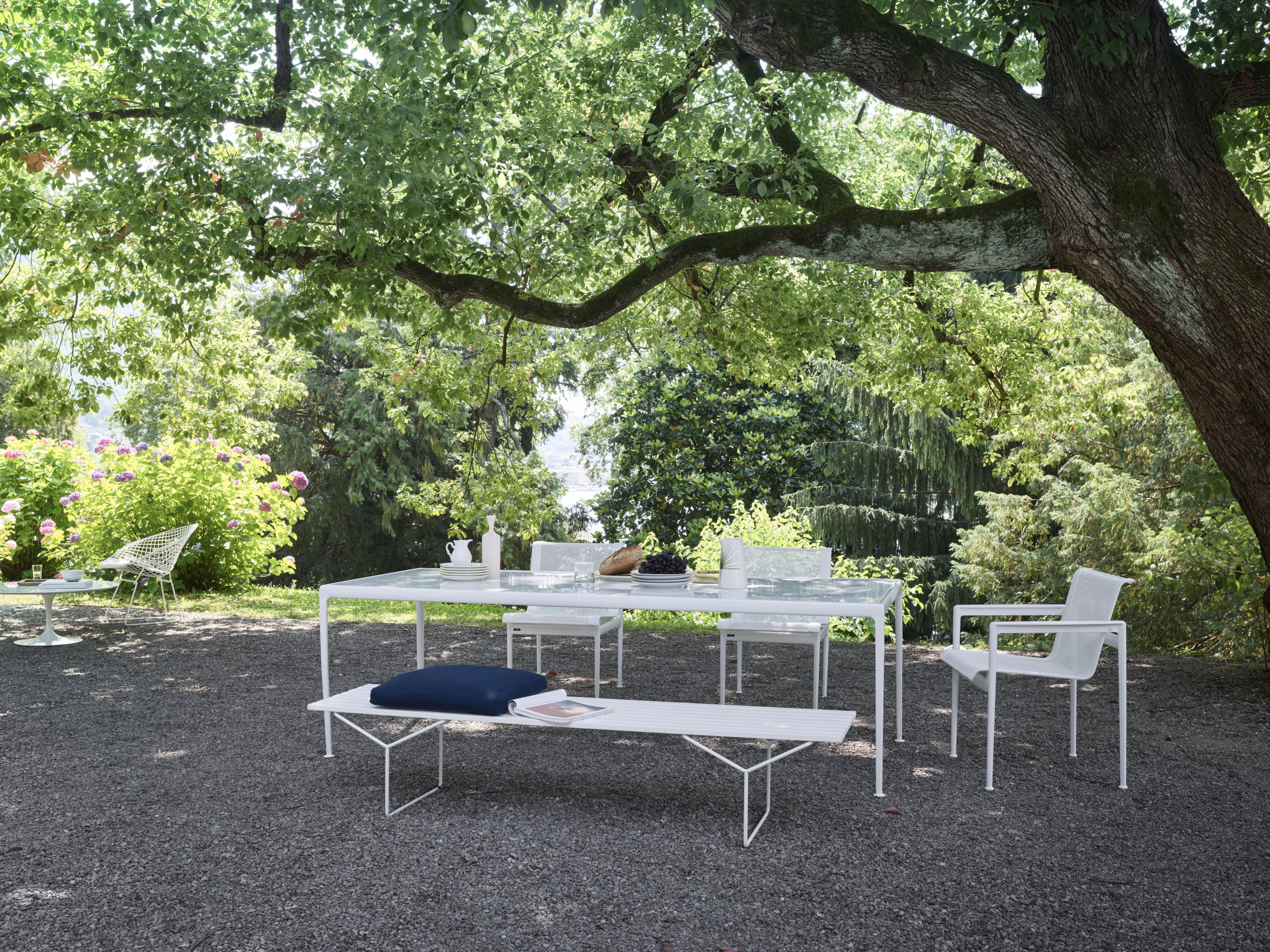 Knoll