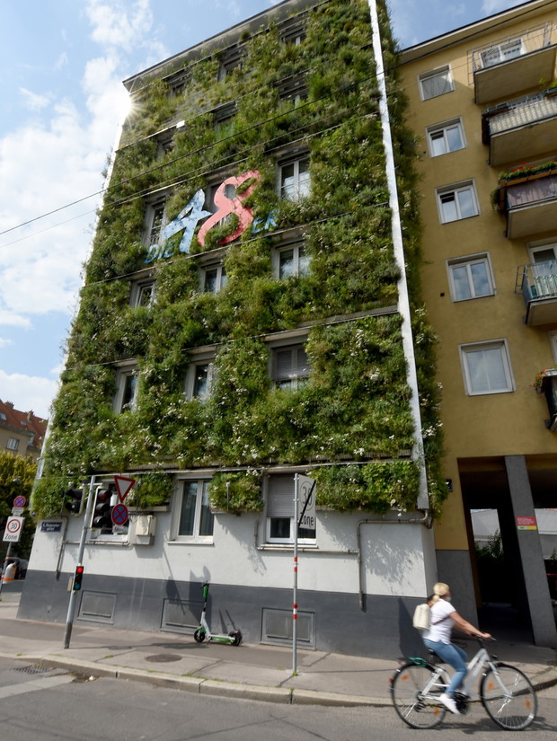 Zielona fasada Siedziby Miejskiego Wydziału Gospodarki Odpadami w Wiedniu