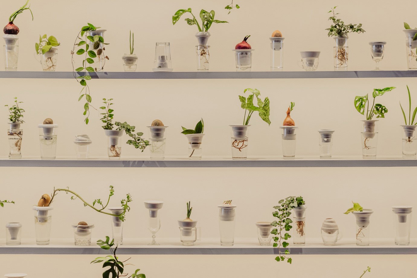 PLANTACJA - PLANTATION, Alicja Patanowska, fot. Alka Murat, materiały prasowe