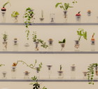 PLANTACJA - PLANTATION, Alicja Patanowska, fot. Alka Murat, materiały prasowe
