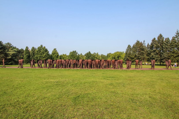 Nierozpoznani Magdaleny Abakanowicz