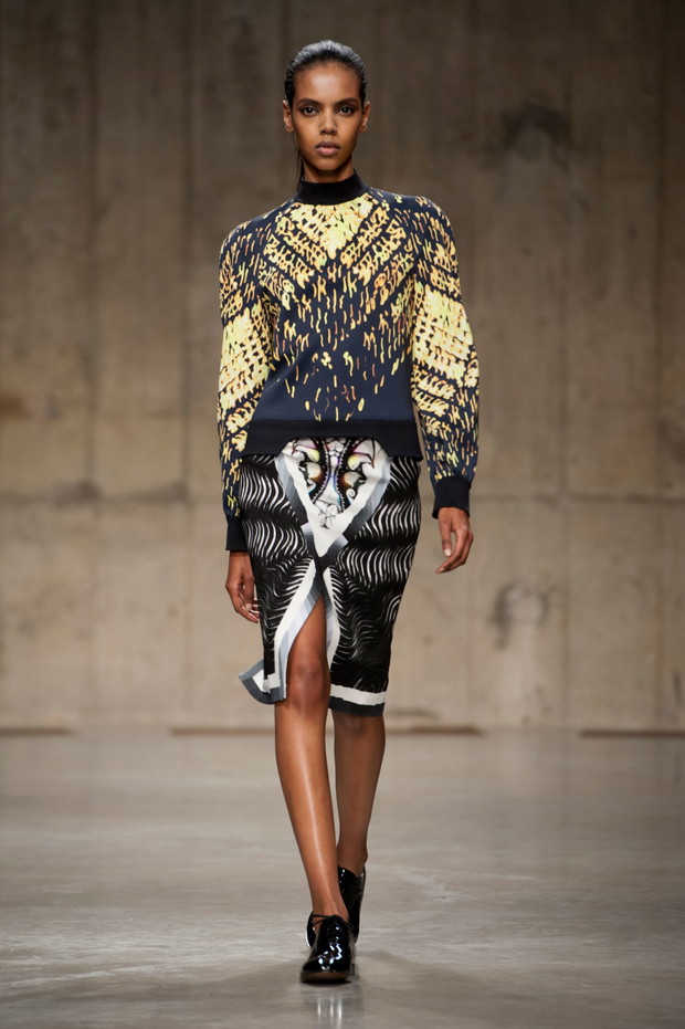Peter Pilotto jesień-zima 2013/2014
