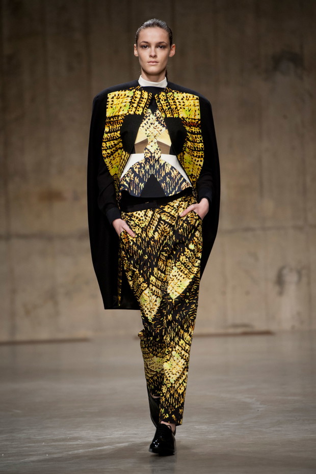 Peter Pilotto jesień-zima 2013/2014