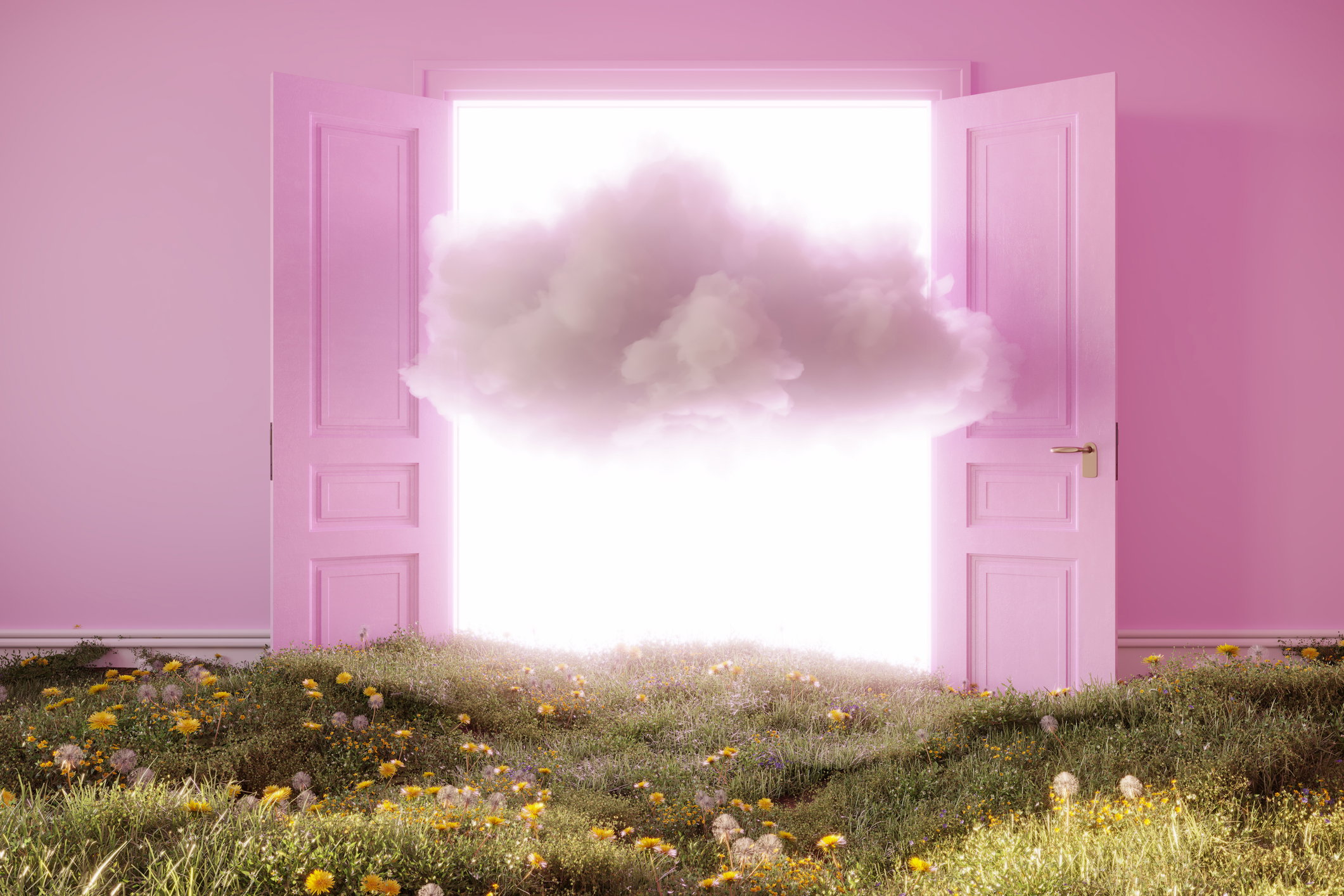 Opening door to the nature