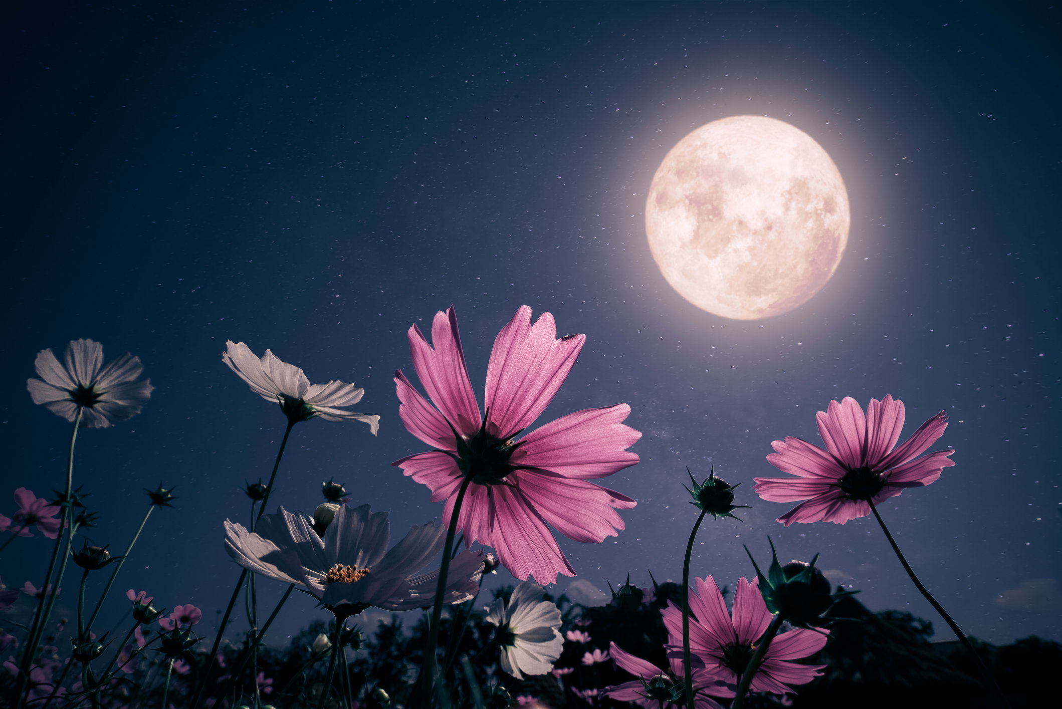 Romantic night scene