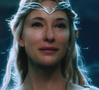 cate-79e8342