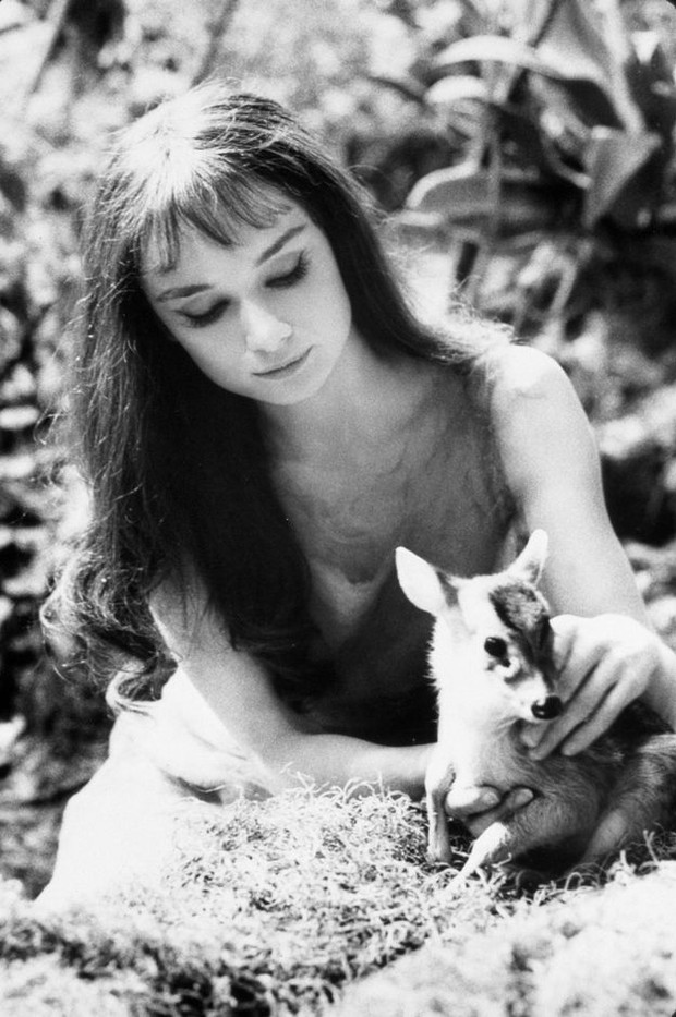 85. urodziny Audrey Hepburn