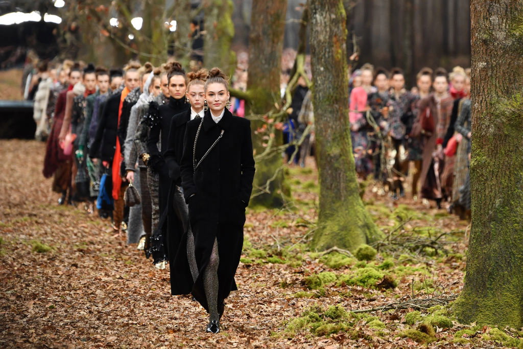 Chanel : Runway - Paris Fashion Week Womenswear Fall/Winter 2018/2019