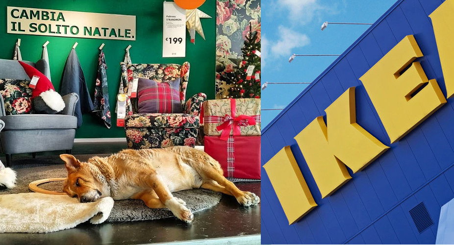 ikeapiesiaczki