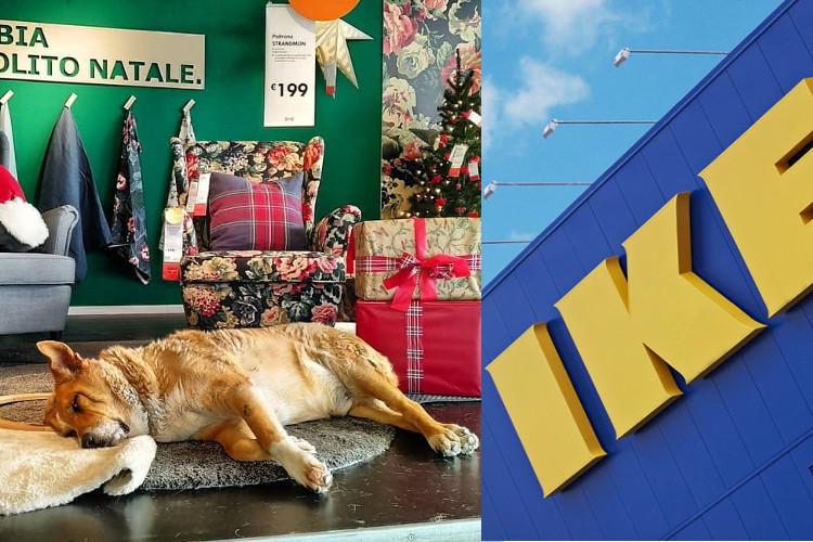 ikeapiesiaczki