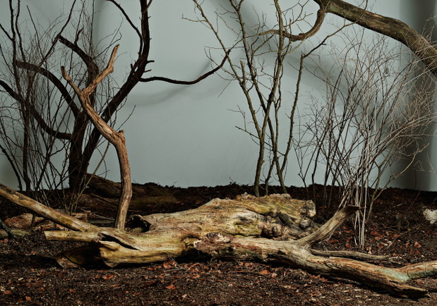 Tim Labenda x Zalando - zobacz lookbook