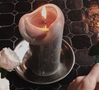 Cropped Image Of Woman Touching Flower