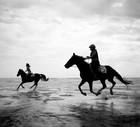 Horse Riders Compete In Annual Karekare Beach Races