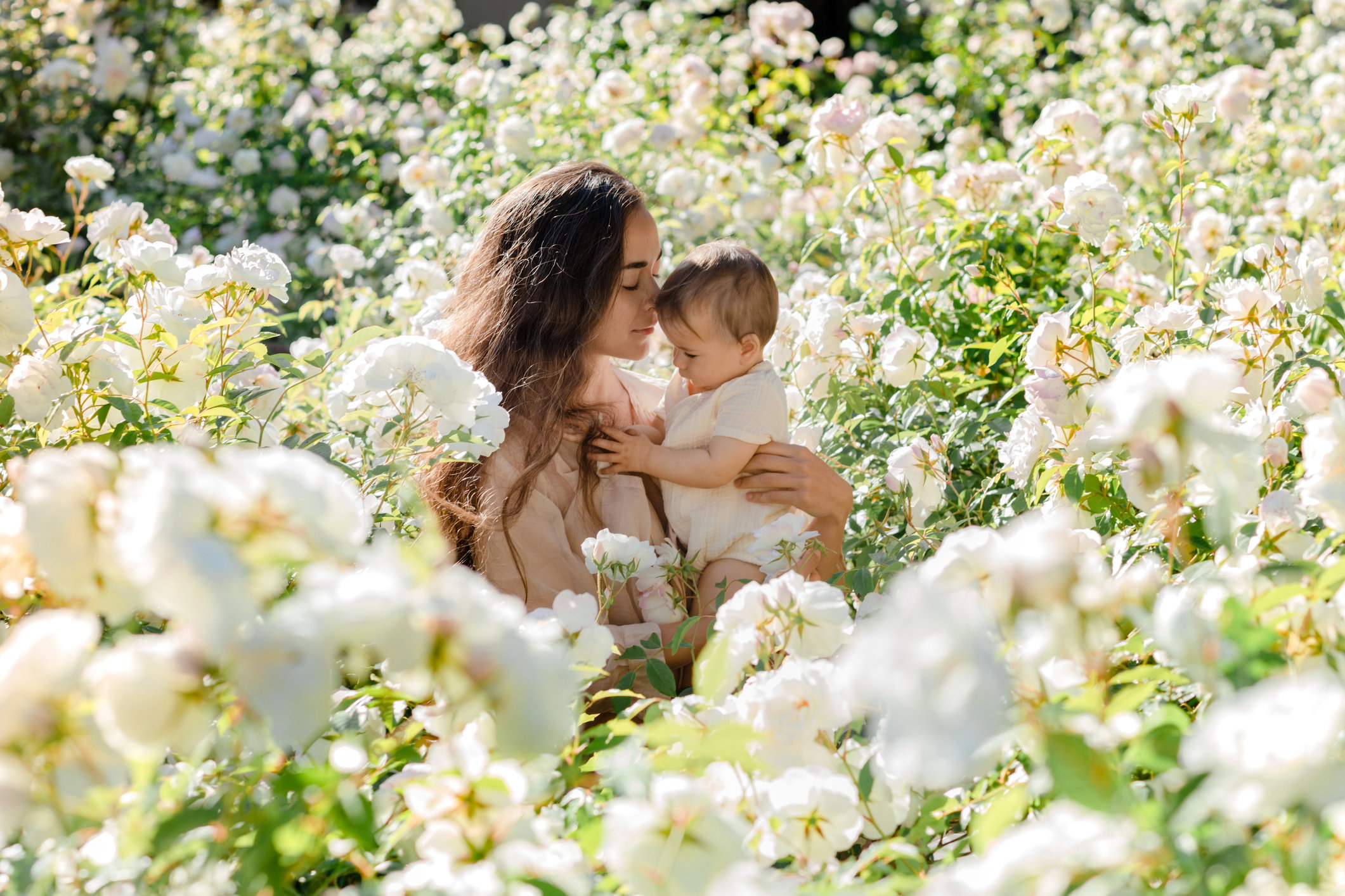 Beautiful young mother and baby girl hugging in a meadow white rose flowers on nature in summer. Family holiday in summer day.