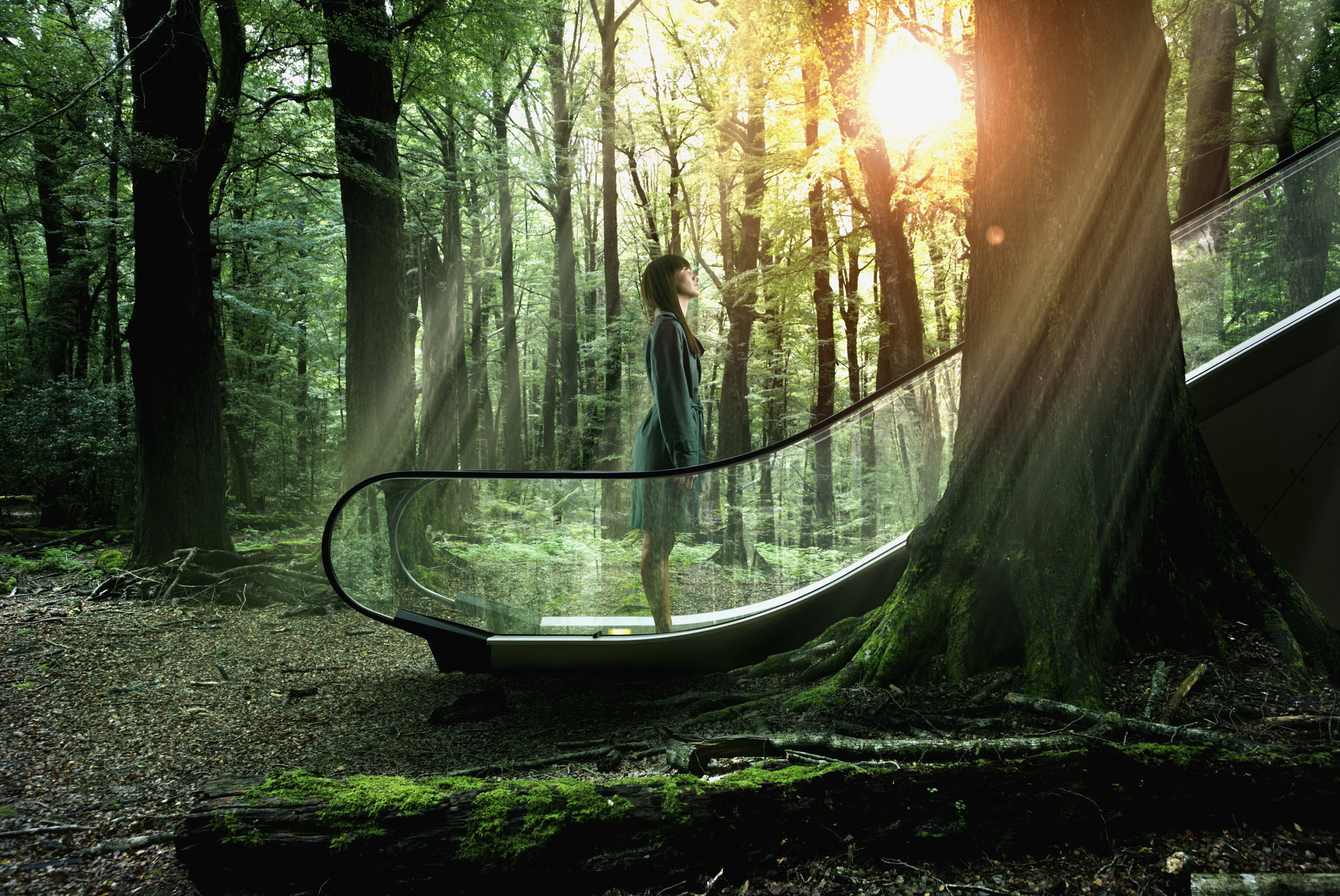 Pacific Islander businesswoman ascending escalator in forest