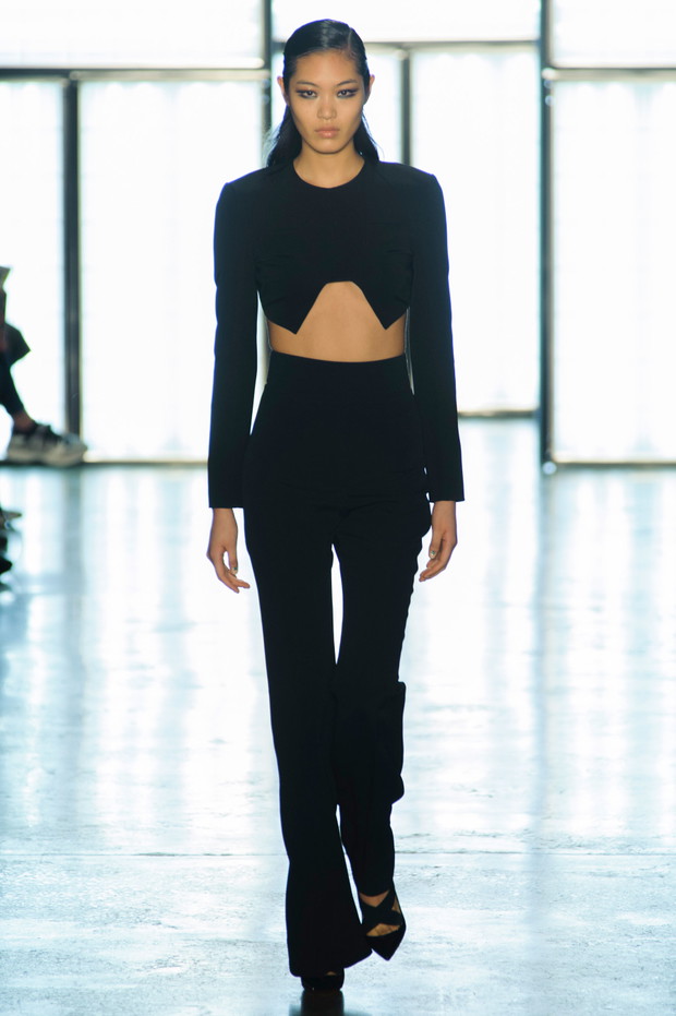 Cushnie Et Ochs jesień-zima 2015/2016