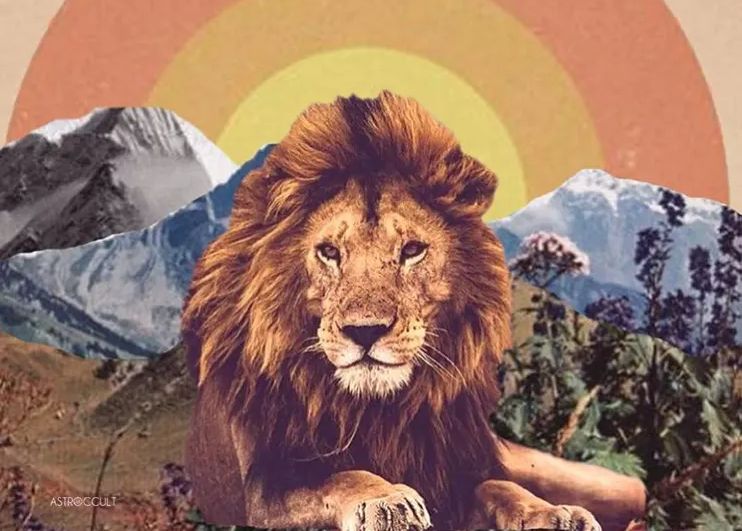lion-3daabac