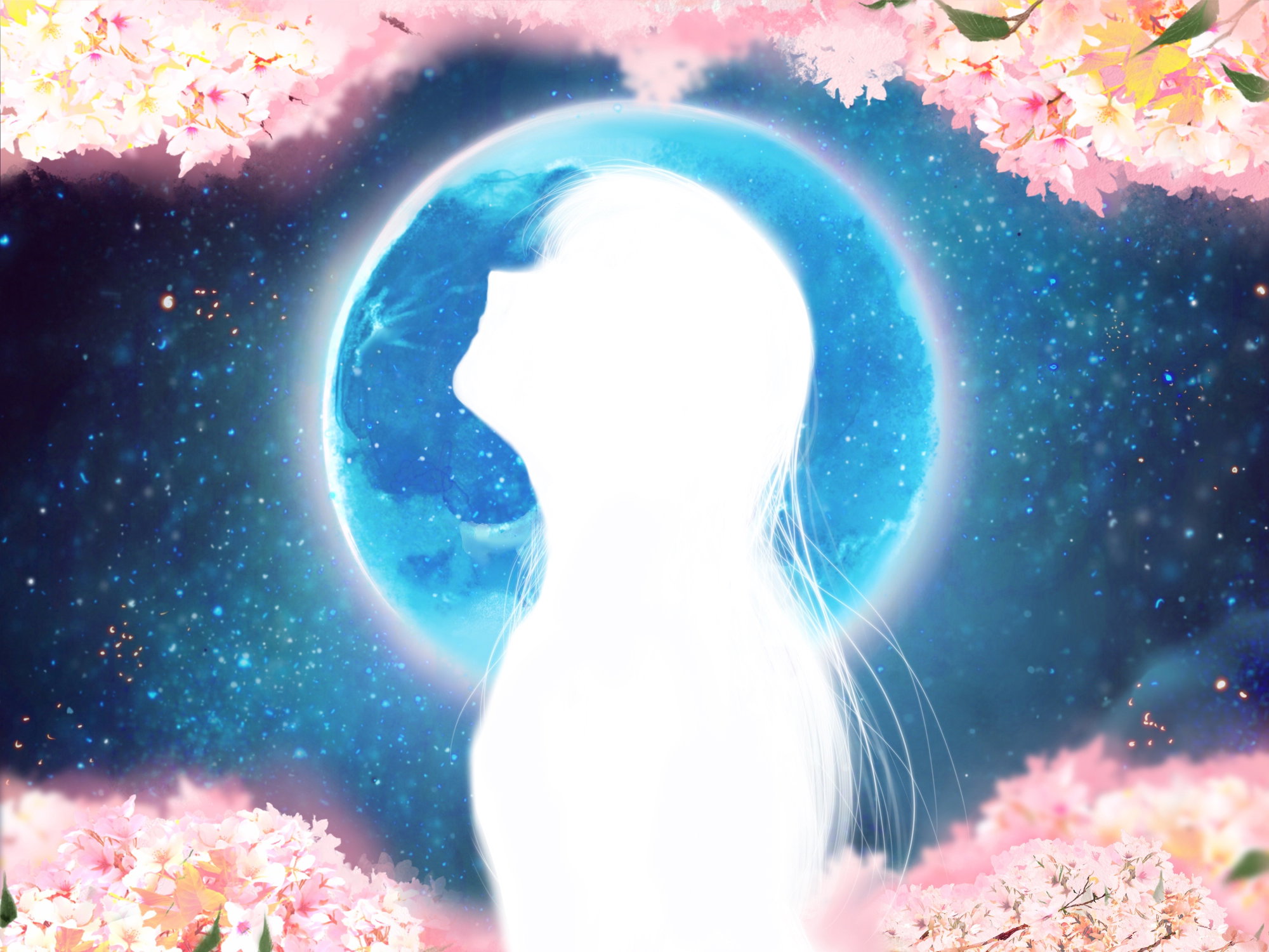 Cherry blossoms in full bloom at night, illustration of a girl in silhouette with long hair fluttering in spring breeze and blue full moon background