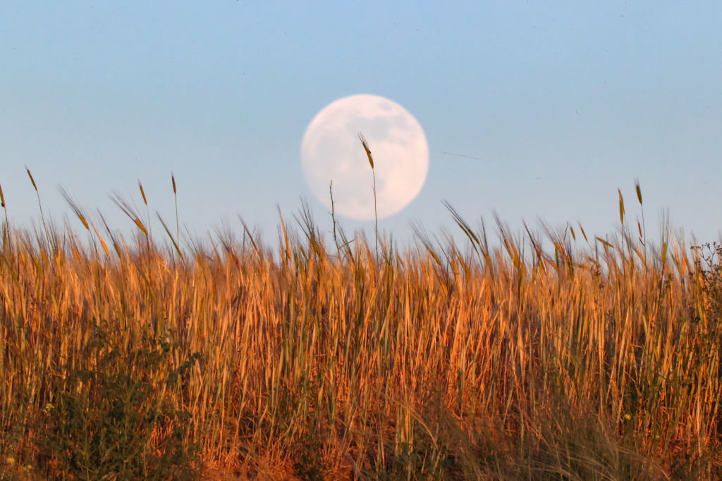 Full moon in Turkey's Van