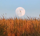 Full moon in Turkey's Van