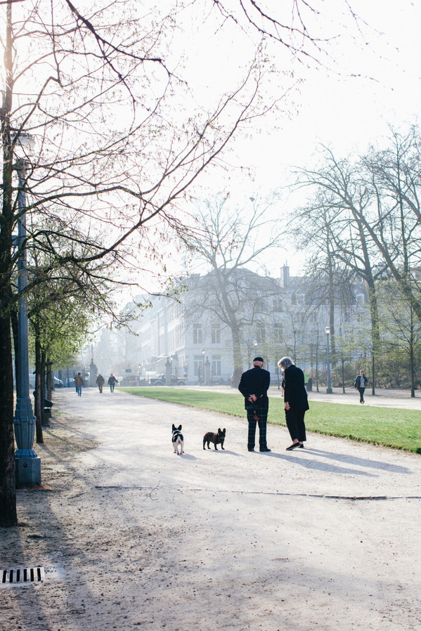 Brukselskie adresy Kasi Tusk
