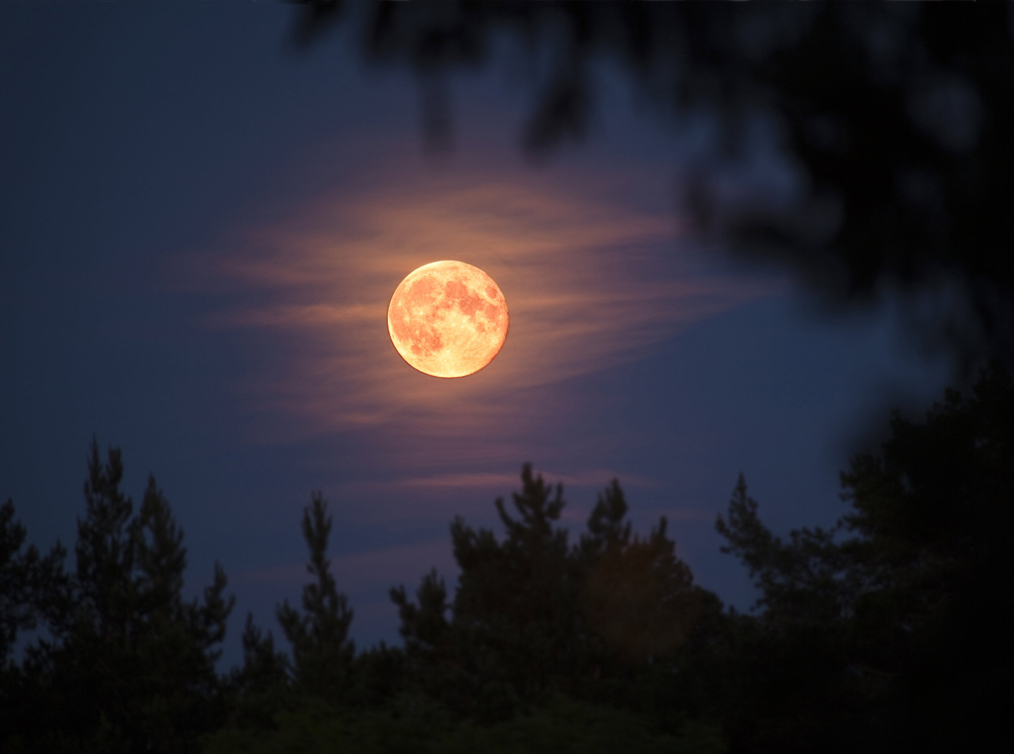 Full moon