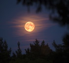 Full moon