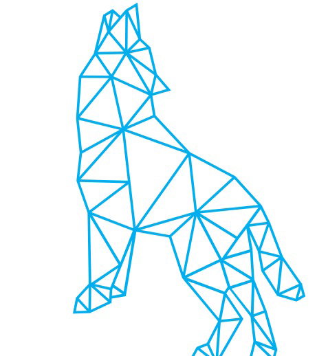 Druga edycja Wolves Summit