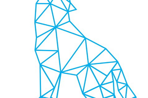 Druga edycja Wolves Summit