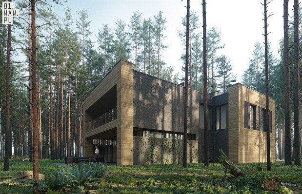 Dom Pień, projekt 81